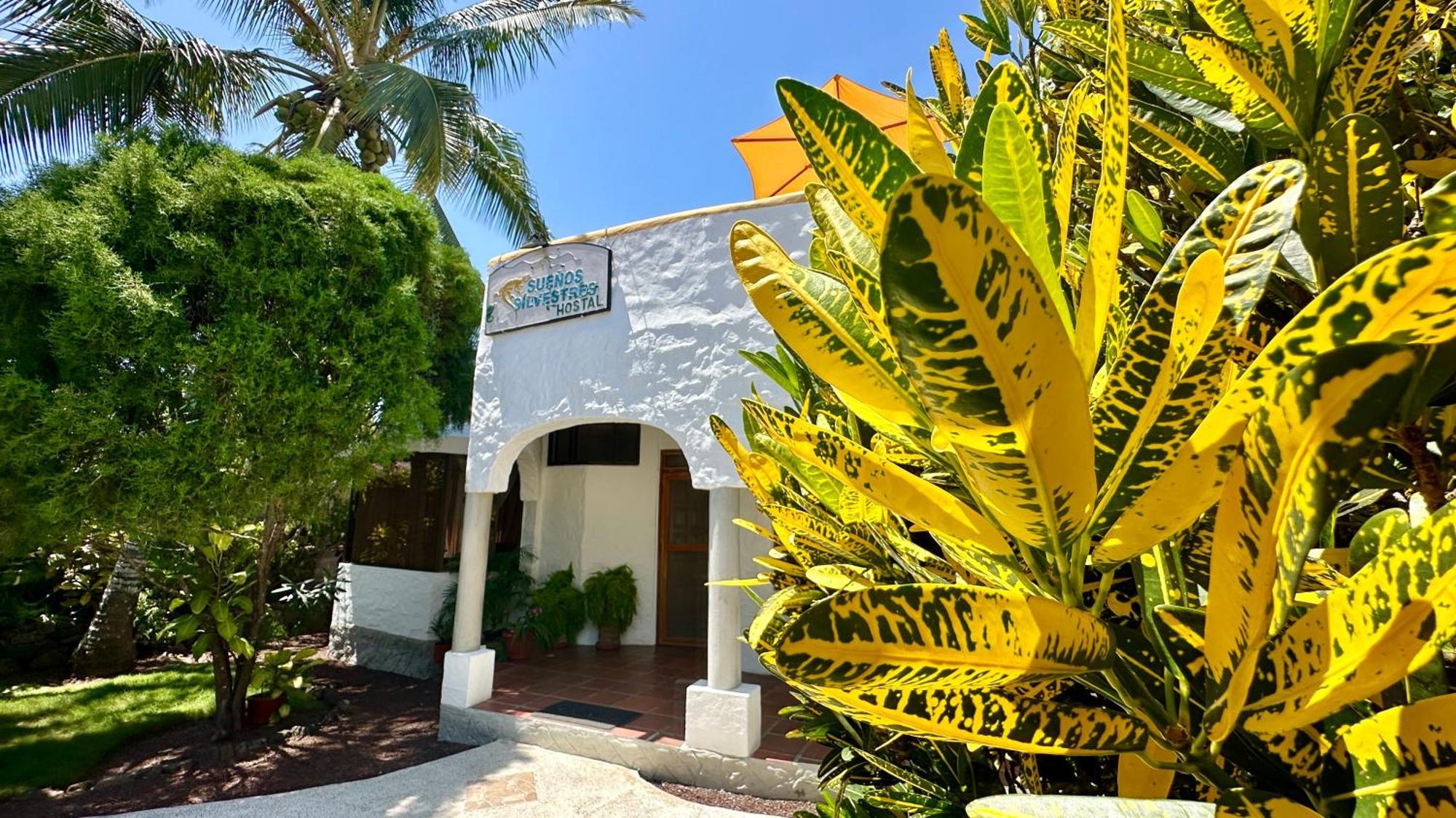 Hostal Suenos Silvestres Puerto Ayora  Exteriér fotografie
