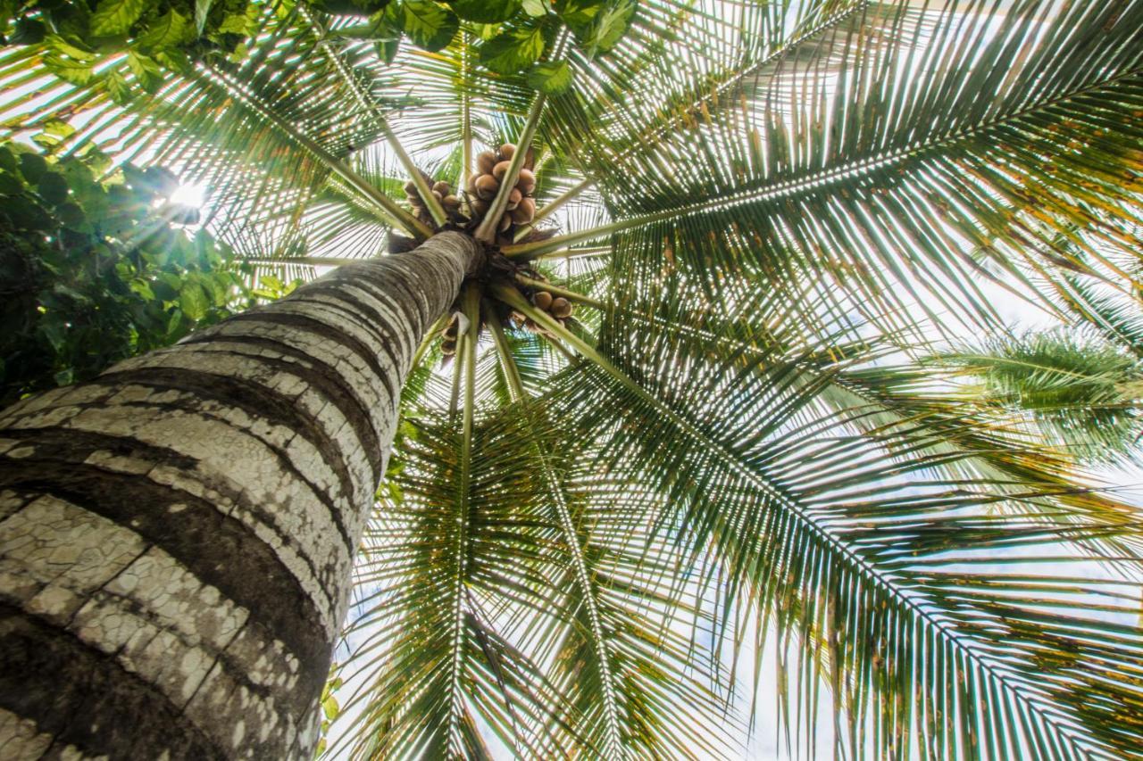 Hostal Suenos Silvestres Puerto Ayora  Exteriér fotografie