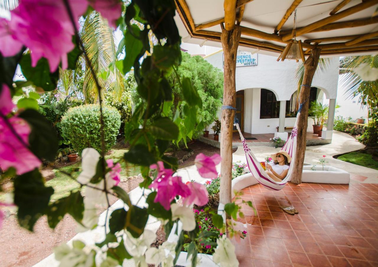 Hostal Suenos Silvestres Puerto Ayora  Exteriér fotografie